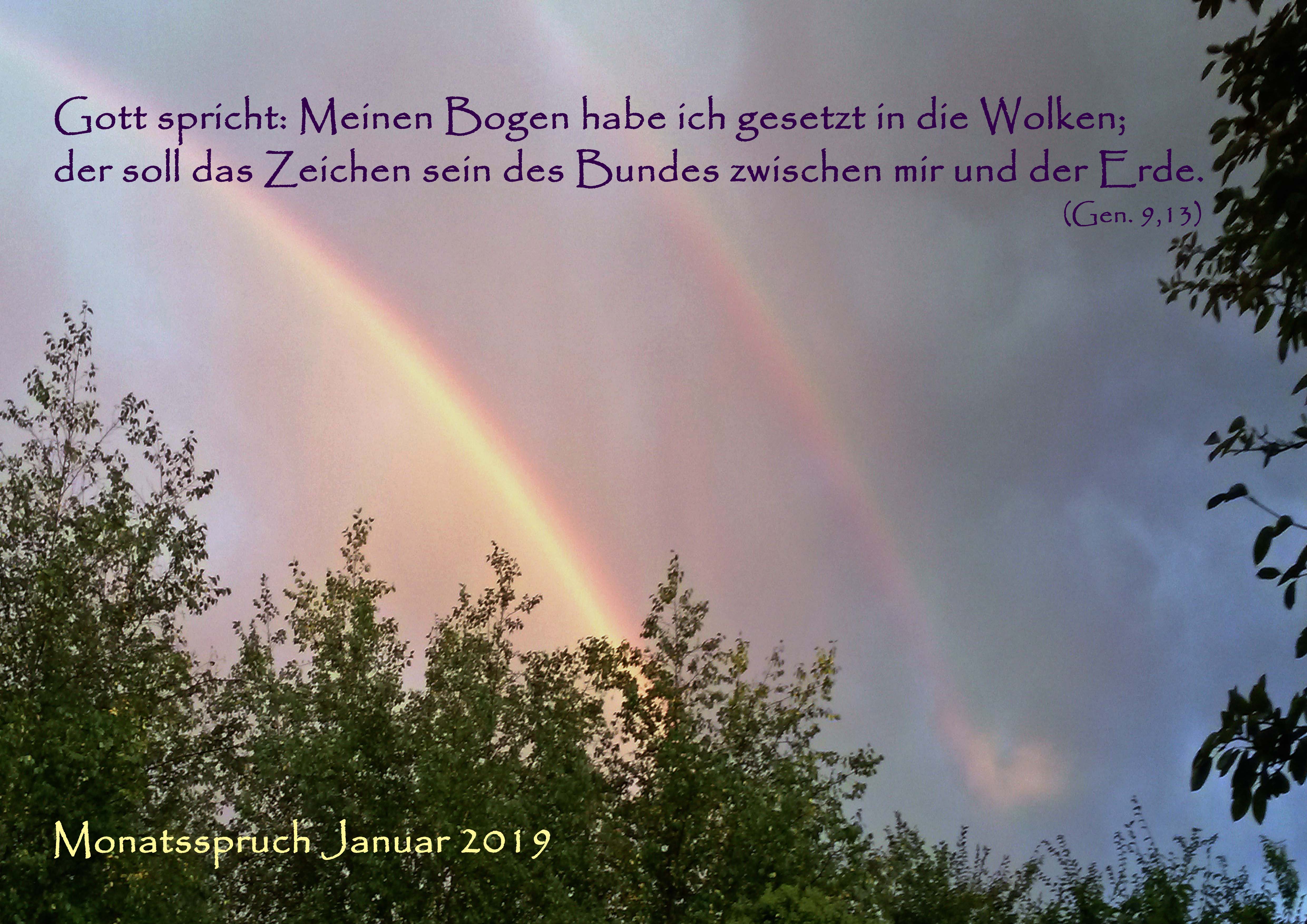 Monatsspruch Januar 2019