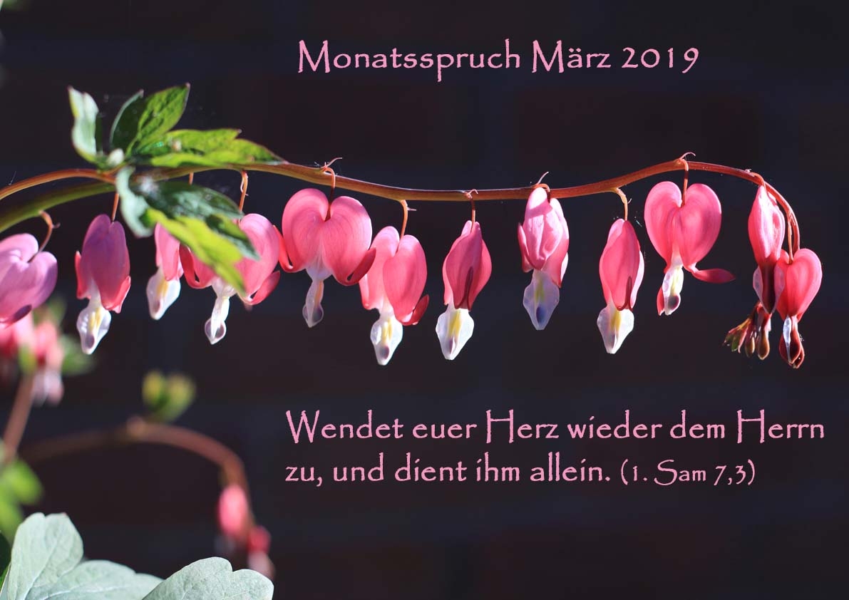 Monatsspruch März 2019