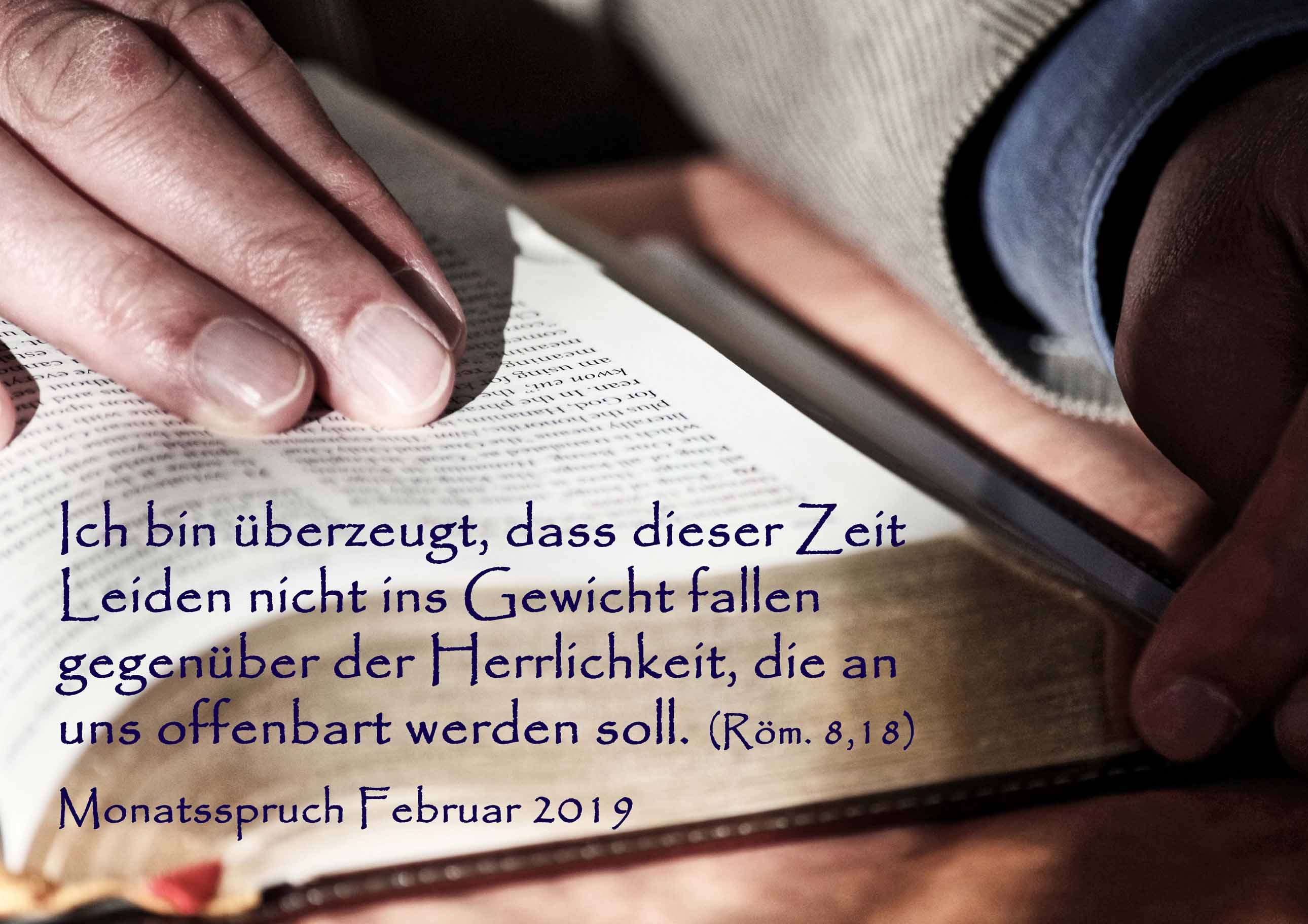 Monatsspruch Februar 2019